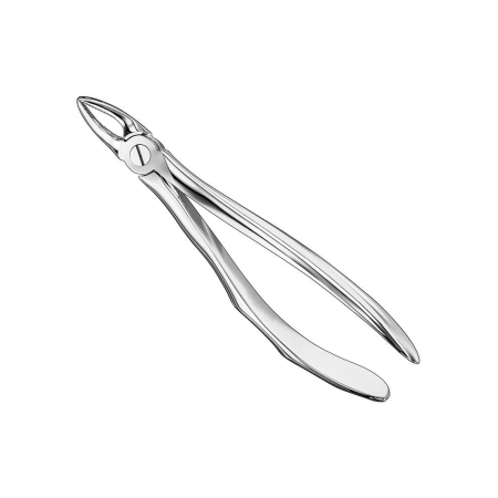 Extracting forceps, anat.